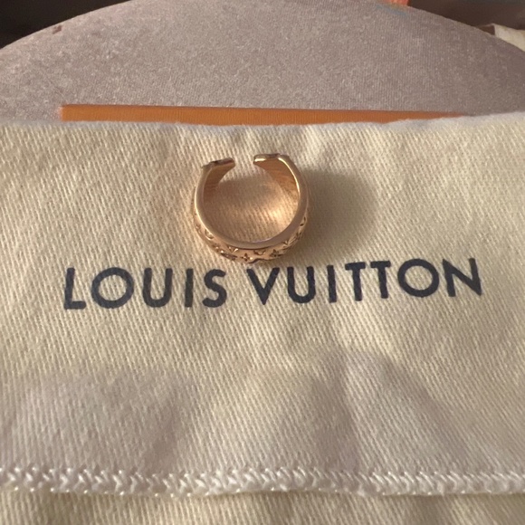 Louis Vuitton - Picture 1 of 8